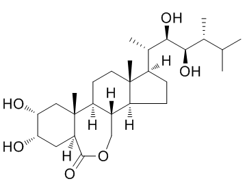 Epibrassinolide (24-Epibrassinolide; B1105; BP55) 78821-43-9